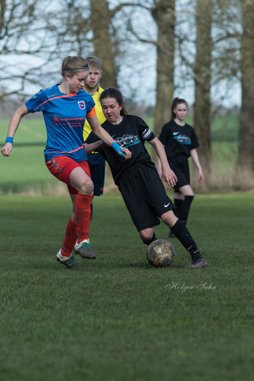 Bild 136 - C-Juniorinnen SV Steinhorst/Labenz - TSV Friedrichsberg-Busdorf : Ergebnis: 5:0